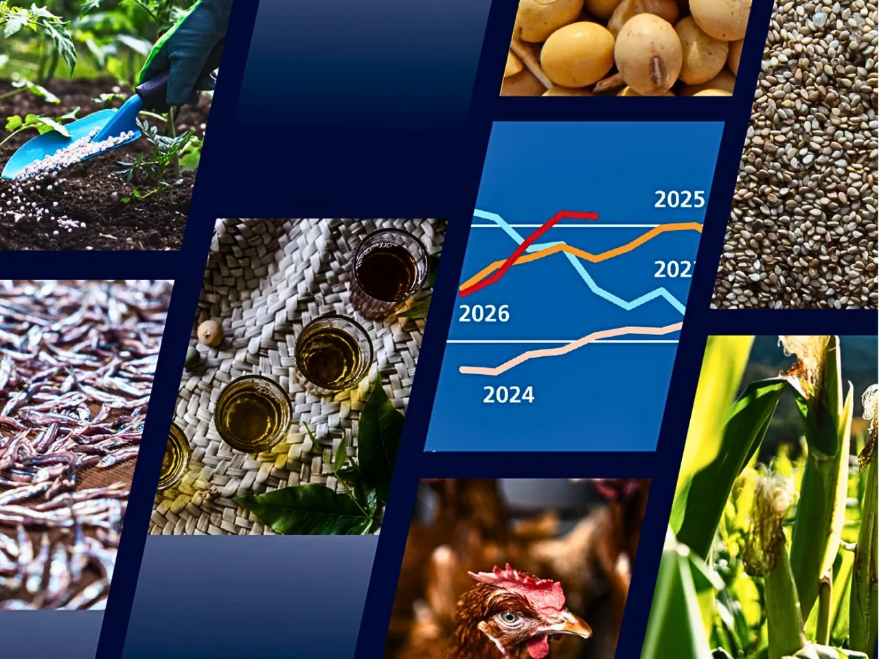 Food import bill hits a record $2.22 trillion